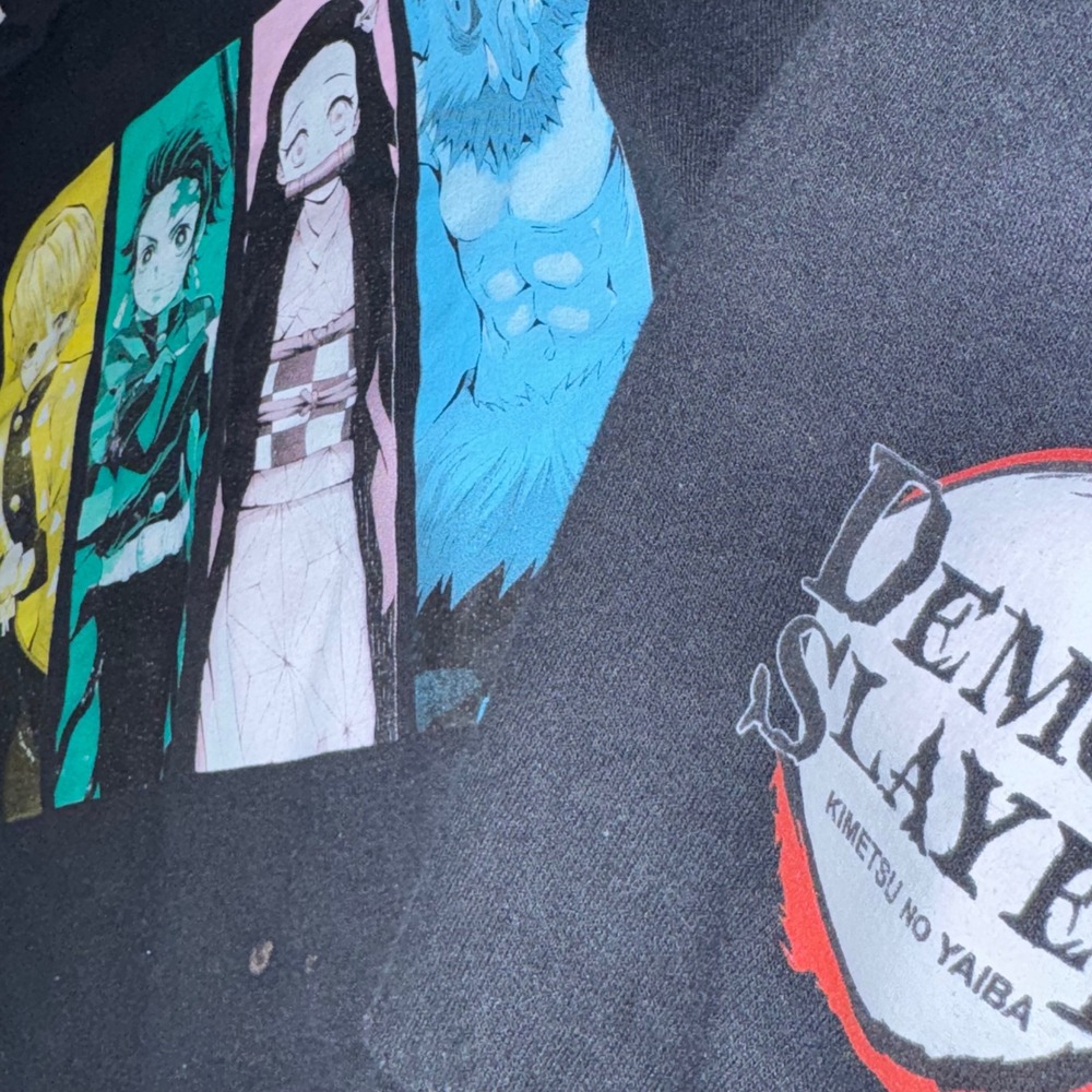 Demon Slayer Kimetsu no Yaiba Anime Graphic Hoodie Black Size Medium Tanjiro